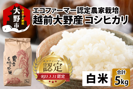 【令和7年産 新米】【有機栽培】エコファーマー認定農家栽培 コシヒカリ5kg（白米）[A-001034]