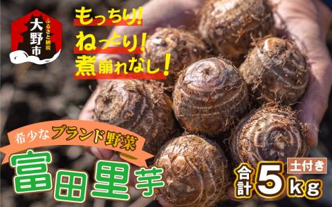 希少！とみた里芋 5kg ねっとりまろやか煮崩れなし！【11月～年内出荷】 [A-001048]