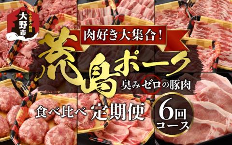 【肉の定期便×6回コース】肉好き大集合！臭みゼロの豚肉「荒島ポーク」食べ比べ 定期便！【福井のブランド豚肉】[F-054001]