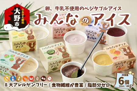 みんなのアイス6個セット（ 卵・牛乳・小麦等アレルギー特定原材料8品目不使用のアイス）