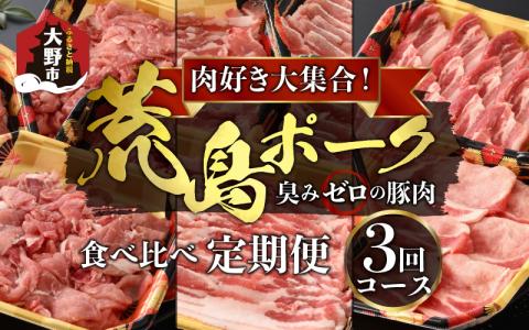 【肉の定期便×3回コース】肉好き大集合！臭みゼロの豚肉「荒島ポーク」食べ比べ 定期便！【福井のブランド豚肉】[C-054005]