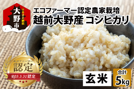 【令和7年産 新米】【有機栽培】越前大野産 エコファーマー認定農家栽培 こしひかり5kg（玄米）[A-001036]