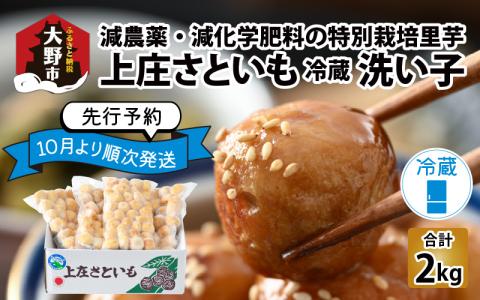 上庄さといも 洗い子 2kg（500g × 4袋）【冷蔵】減農薬・減化学肥料の特別栽培里芋 農家直送 煮物に便利な小さめサイズ[A-004009]