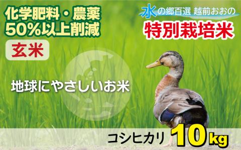 【令和7年産 新米】こしひかり 10kg【玄米】減農薬・減化学肥料 「特別栽培米」－地球にやさしいお米－[A-003010]
