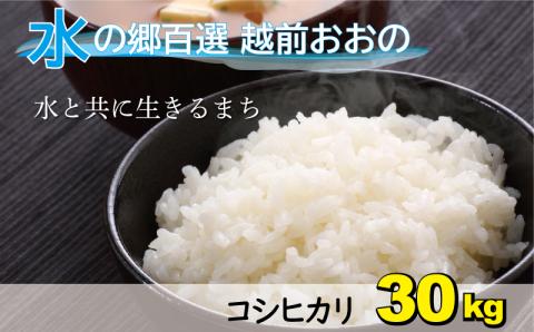 【令和5年産】こしひかり（福井県大野市産） エコファーマー米（白米）30kg（5kg×6袋）[C-003003]
