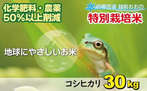 【令和5年産】こしひかり 30kg 【白米】減農薬・減化学肥料 「特別栽培米」－地球にやさしいお米－[D-003005]