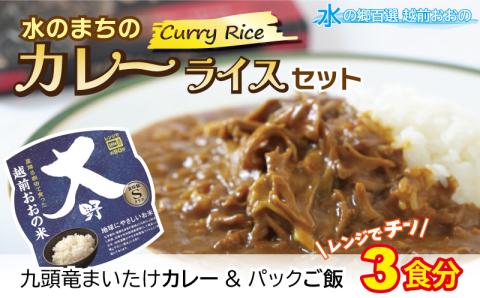 レンジでチン！水のまちのカレーライスセット【５食分】[A-003016]