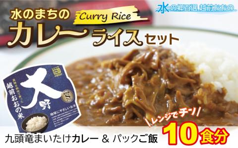 レンジでチン！水のまちのカレーライスセット【１０食分】[B-003012]
