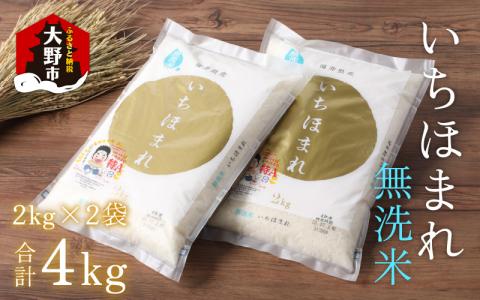 【福井のブランド米】【令和7年産 新米】【特A獲得】いちほまれ 無洗米 2kg × 2袋[A-054025]