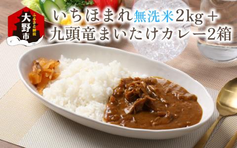 【福井のブランド米】【令和7年産 新米】【特A獲得】いちほまれ無洗米＋九頭竜まいたけカレーセット[A-054027]
