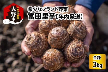 希少！とみた里芋 3kg ねっとりまろやか煮崩れなし！【年内出荷】 [A-001012]