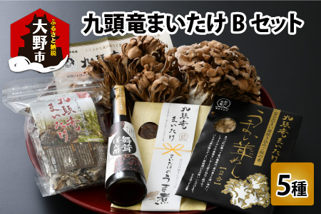 九頭竜まいたけとうま煮・ごはんの素など加工品セット(Bセット)[A-038005]