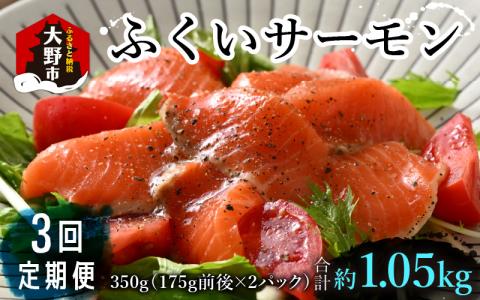 【定期便3回コース】ふくいサーモン（刺身用）真空冷凍　350g（175g × 2パック） × 3回 合計1.05kg