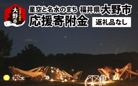 【返礼品なし】星空と名水のまち　越前おおのへのふるさと納税 応援寄附金