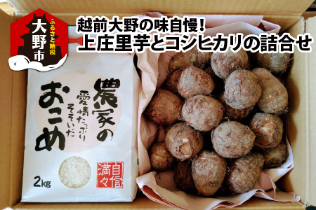 【12月出荷】越前大野の味自慢！上庄里芋とコシヒカリの詰合せ 計4kg（上庄里芋2kg コシヒカリ2kg×1袋）[A-001046]