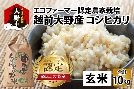 【令和7年産 新米】【有機栽培】越前大野産 エコファーマー認定農家栽培 コシヒカリ10kg（玄米）[A-001037]