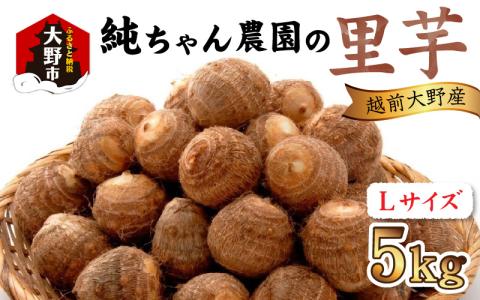 【先行予約】越前大野産 「純ちゃん農園の里芋 5kg」サイズL寸【10月下旬より順次発送】