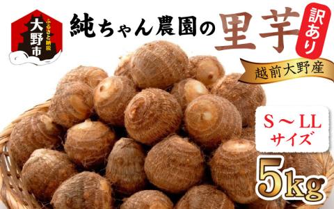 【先行予約】【訳あり】越前大野産 「純ちゃん農園の里芋5kg」サイズS～LL寸【10月下旬より順次発送】