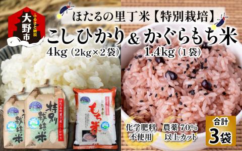 【令和7年産 新米】ベストファーマー ほたるの里 特別栽培こしひかり 4kg（2kg × 2袋） ＋ かぐらもち米 1.4kg 化学肥料不使用 農薬70％以上カット [A-002002]