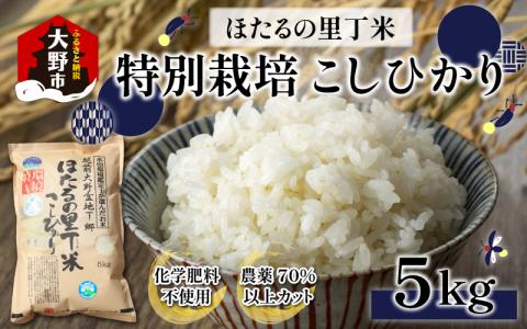 【令和7年産 新米】ベストファーマー ほたるの里 特別栽培こしひかり 5kg 化学肥料不使用 農薬70％以上カット【10月より順次発送】[A-002003]