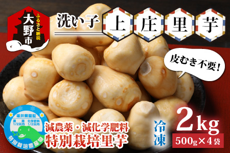 【皮むき不要】減農薬・減化学肥料の特別栽培里芋 上庄里芋 冷凍 洗い子 2kg（500g×4袋）【10月～年内出荷】