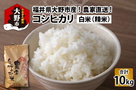 【令和5年産】福井県大野市産 コシヒカリ 白米 精米 10kg 農家直送 [A-013012]