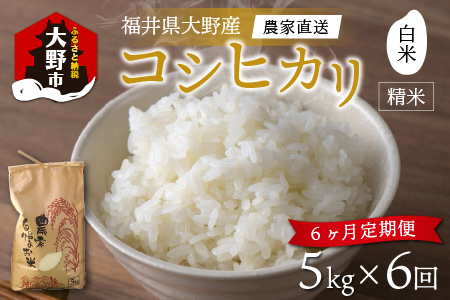 【令和5年産】【6ヶ月定期便】福井県大野市産 コシヒカリ 白米 精米 5kg 農家直送 [D-013001]
