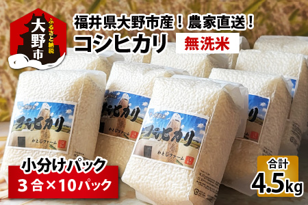 【令和5年産】福井県大野市産 コシヒカリ 無洗米 3合×10パック（4.5kg）小分け アウトドアにもおすすめ 農家直送  [A-013003]