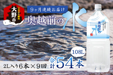 【9ヶ月連続お届け】奥越前の水 PET2L×6本 計54本[F-036002]