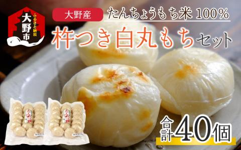 【年内配送】「杵つき白丸もちセット40個」(50g × 40個） 大野産たんちょうもち米使用【12月24日までの入金確認分は年内お届け】