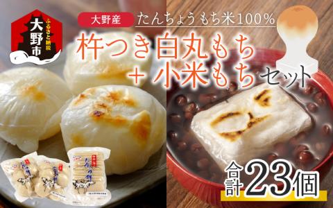 【年内配送】「杵つき白丸もち16個＋小米もち7枚のセット」 大野産たんちょうもち米使用【12月24日までの入金確認分は年内お届け】