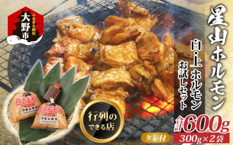 【全国ホルモン大会初代優勝】 星山ホルモン 白 ミックス ホルモン 600g お試し 小分け 食べ比べ セット（各300g・たれ付）【行列のできるお店】