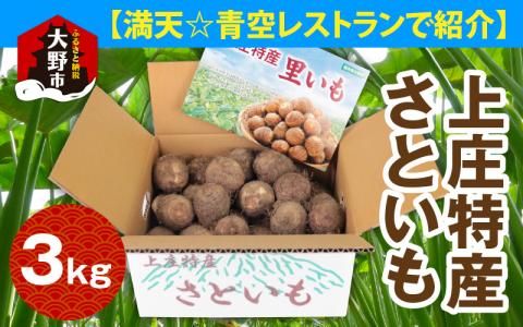 【満天☆青空レストランでご紹介】【年内出荷】上田農園 上庄特産さといも 3kg【10月下旬～順次発送】