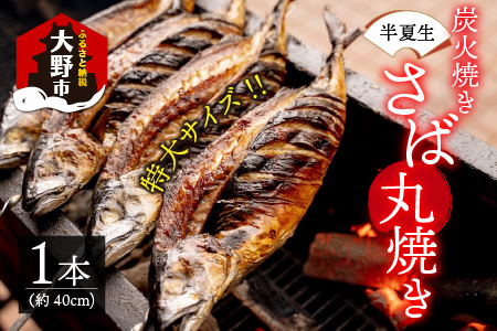 【先行予約】魚屋直送！大野名物 炭火焼き 半夏生さば（丸焼きさば）1本【2026年6月28日～7月10日お届け】
