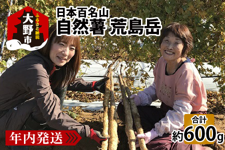 年内発送！日本百名山「自然薯　荒島岳」約600g [A-041001]
