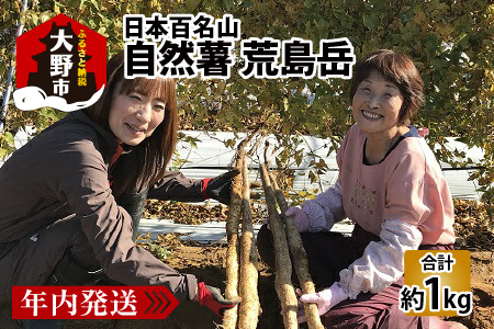 年内発送！日本百名山「自然薯　荒島岳」約1kg [C-041001]