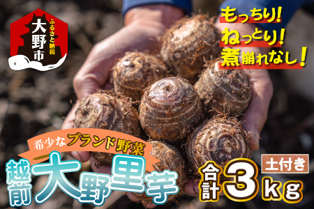 越前大野里芋 3kg ねっとりうまい煮崩れしない！