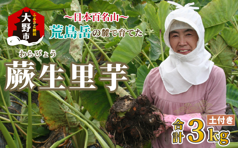 【年内お届け】日本百名山 荒島岳の麓で育てた 蕨生（わらびょう）里芋 3kg【11月～年内出荷】[A-001010]