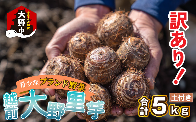 訳あり！越前大野里芋　5kg【土付】