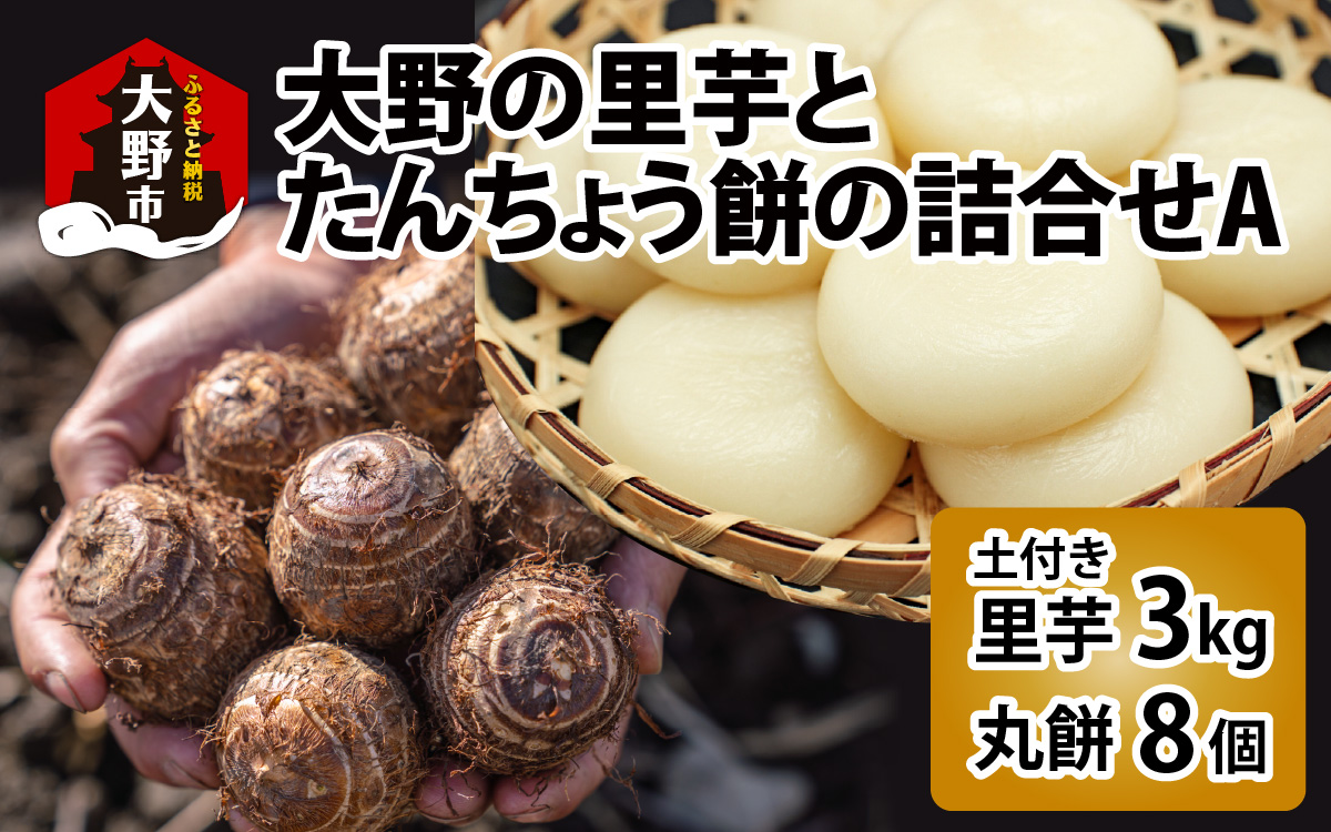 大野の里芋とたんちょう餅の詰め合わせA（里芋3kg+丸餅8個入り×1袋）【2025年11月30日より順次発送】