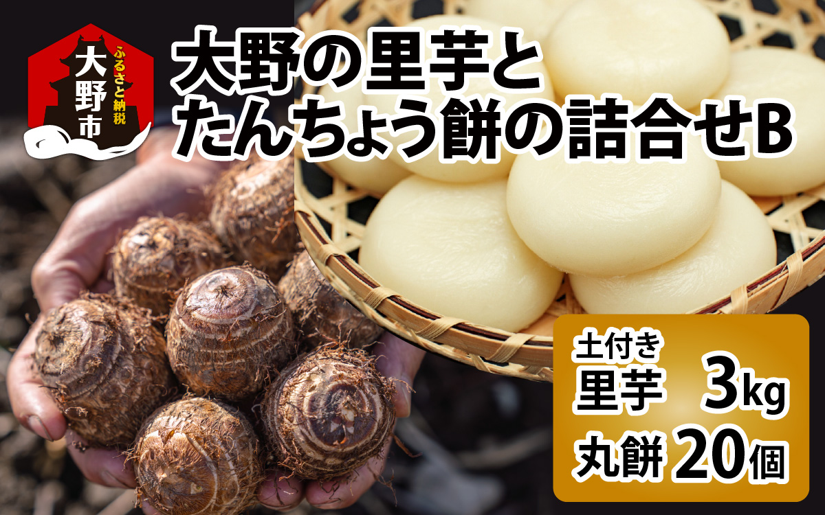 大野の里芋とたんちょう餅の詰め合わせB（里芋3kg+丸餅20個入り×1袋）【2025年11月30日より順次発送】