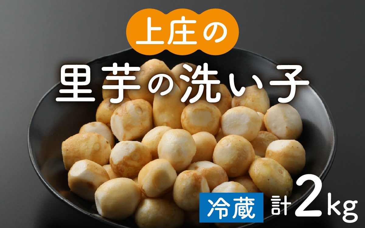 【令和7年産 収穫開始！】皮むきいらず、煮っ転がしに最適！上庄の里芋の洗い子【冷蔵】2kg [A-001082]