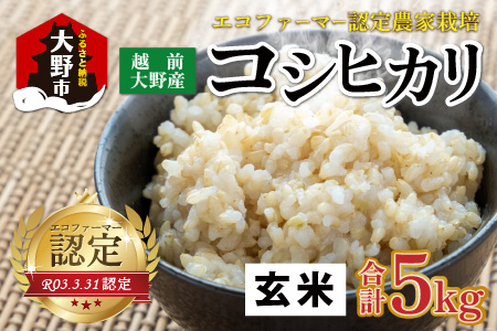 【先行予約】【令和8年産 新米】【有機栽培】越前大野産 エコファーマー認定農家栽培 こしひかり5kg（玄米）【2026年10月より順次発送】[A-001084]