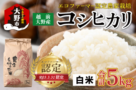 【先行予約】【令和8年産 新米】【有機栽培】越前大野産 エコファーマー認定農家栽培 コシヒカリ5kg（白米）【2026年10月より順次発送】[A-001086]