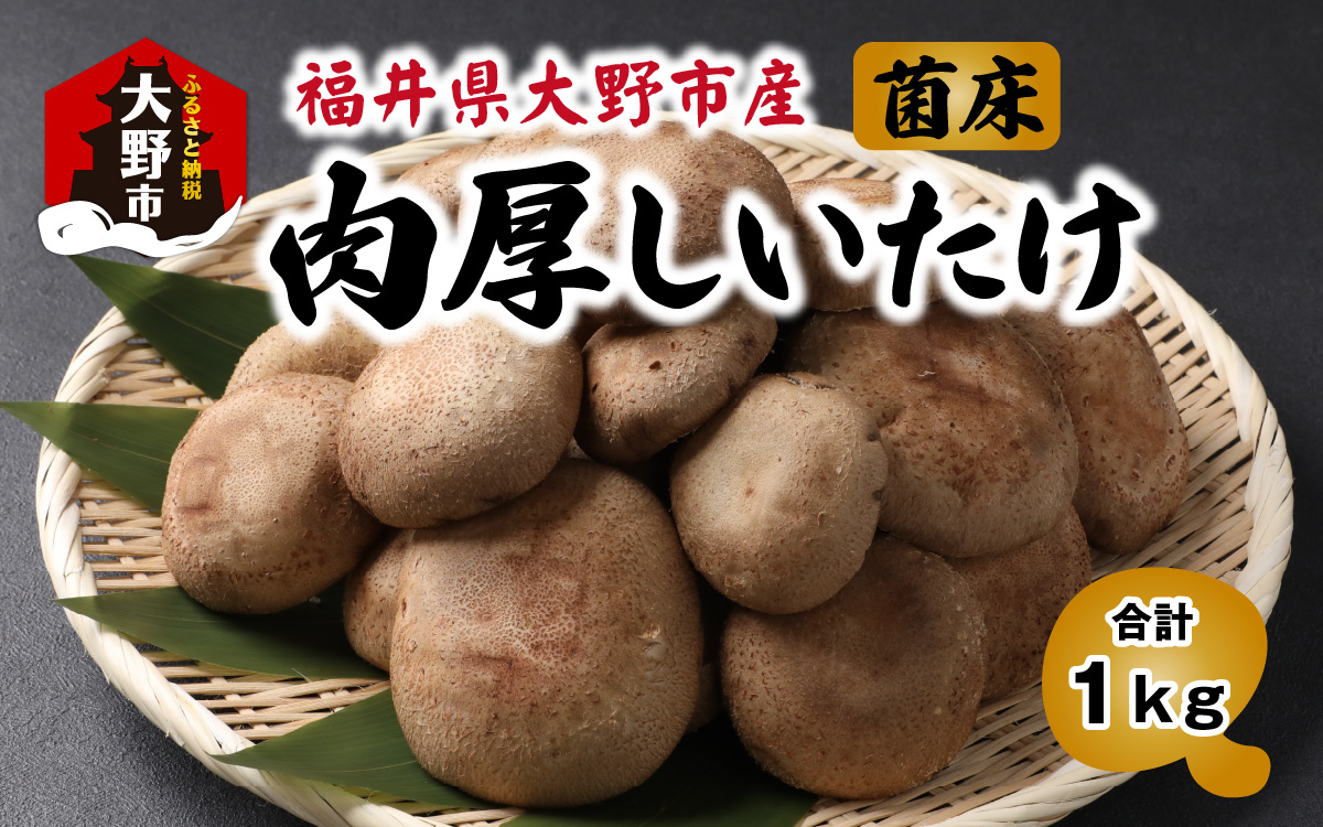 菌床肉厚しいたけ（福井県大野市産）1kg[A-003019]