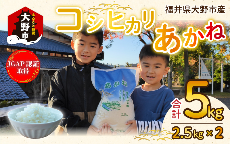 【先行予約】【令和7年産 新米】福井県大野市産 JGAP認証 コシヒカリ「あかね」5kg（2.5kg×2）小分け