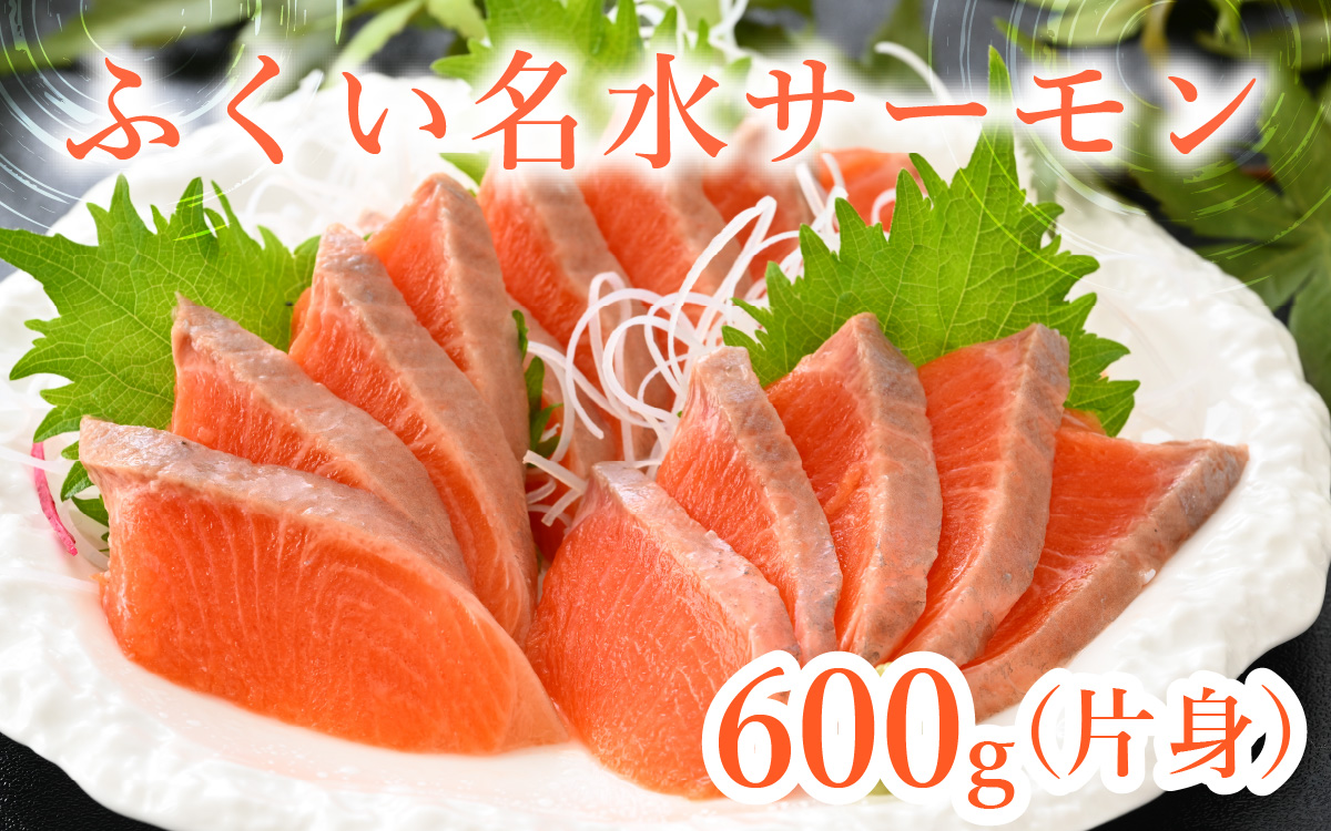 【希少】福井県大野市産 ふくい名水サーモン 片身 約600g（生食・加熱用）真空冷凍
