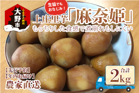 【年内お届け】上庄里芋「麻奈姫」2kg「農家直送」
