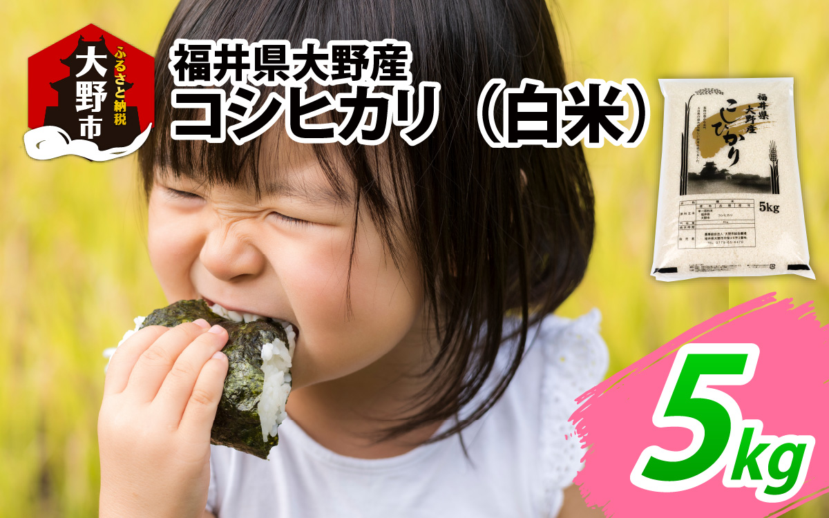 【先行予約】【令和7年産 新米】福井県大野産コシヒカリ（白米）5kg