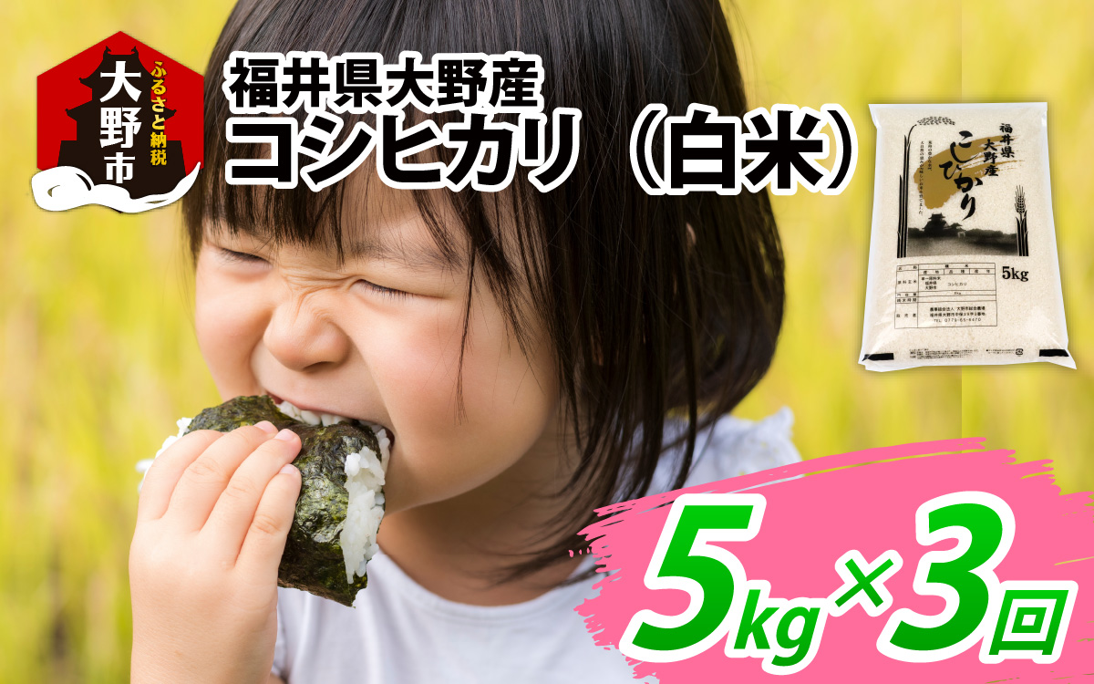 【先行予約】【3ヶ月定期便】【令和7年産 新米】福井県大野産コシヒカリ（白米）5kg×３回　計15kg